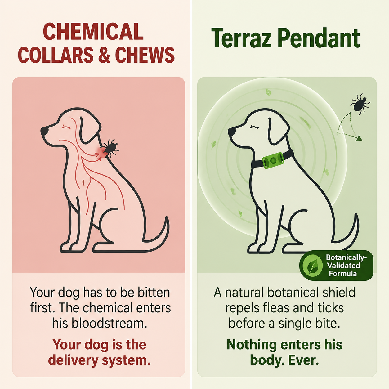 Terraz™ Flea & Tick Tag for Dogs (12-Month)
