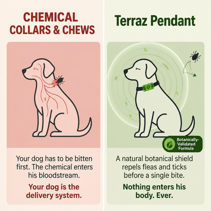 Terraz™ Flea & Tick Tag for Dogs (12-Month)