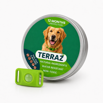 Terraz